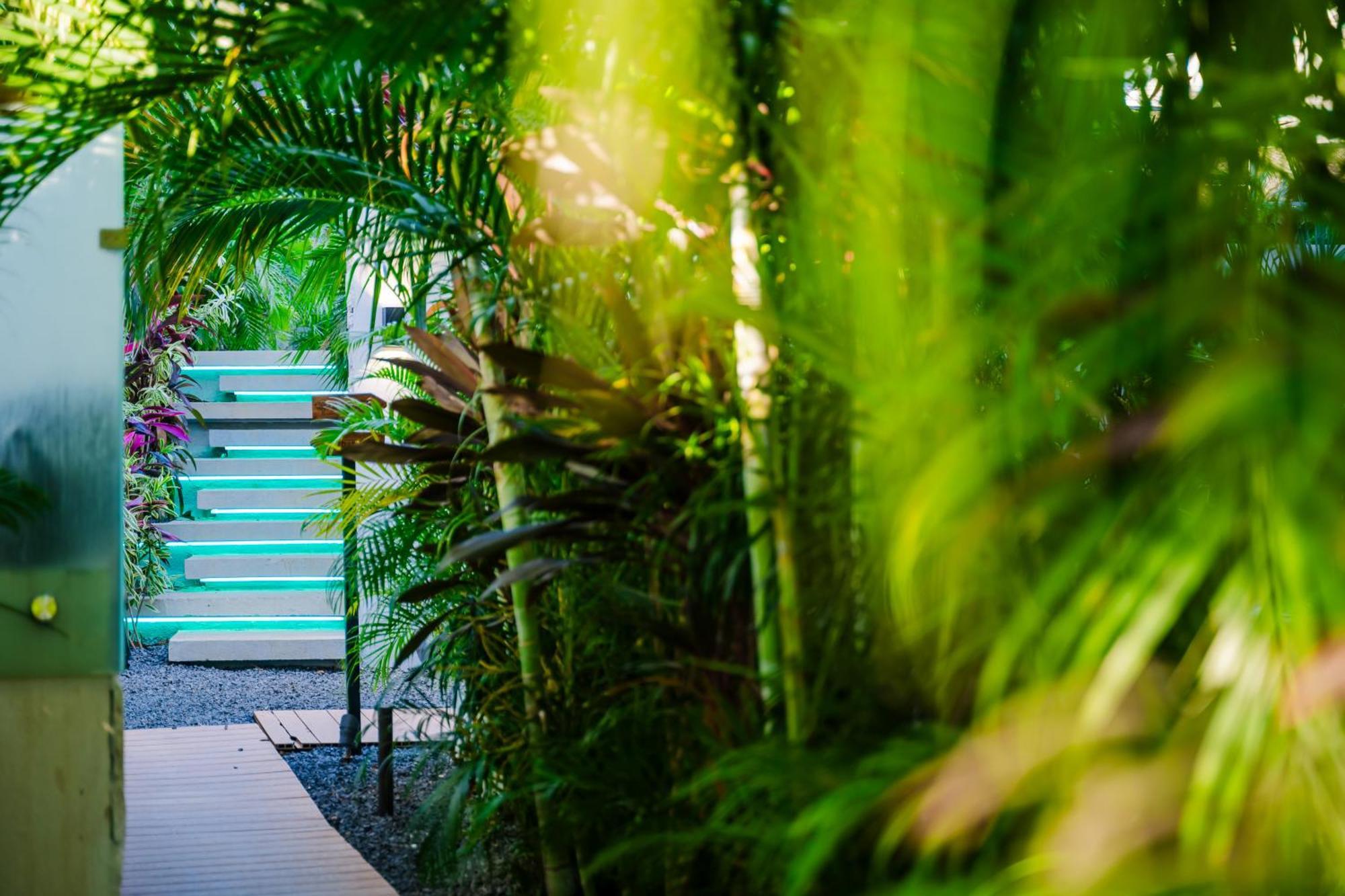 Mvillas Luxury Villas With Beach Club Access & Sauna Тамариндо Экстерьер фото